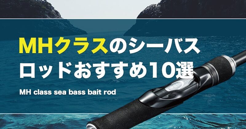 DAIWA SEABASS HUNTER X 90M 送料無料 早い者勝ち（MHクラスの