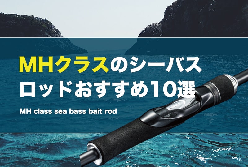 MHクラスのシーバスロッドおすすめ10選！用途も解説！安いけど使える