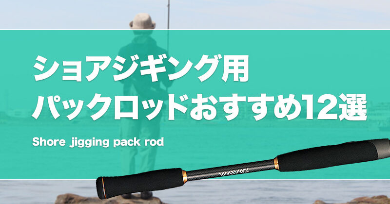 パックロッド 3m 10ft ジギングロッド シーバスロッド