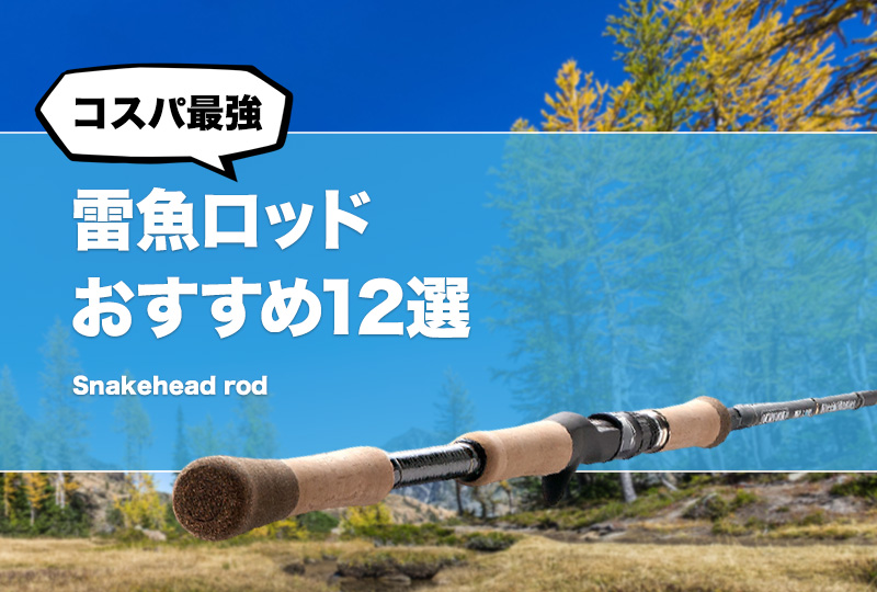 SEVARE 雷魚ロッド コルク カスタム済み 【リールはつきません
