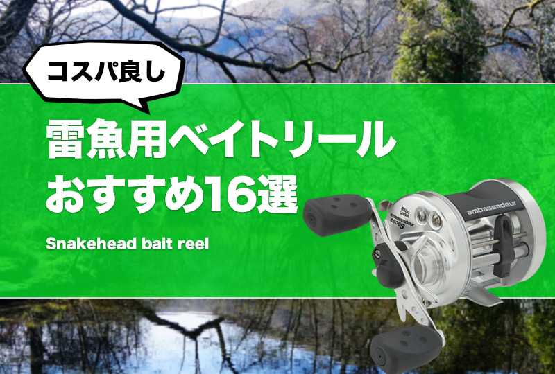 コスパ良し！雷魚ベイトリールおすすめ16選！安いけど人気な雷魚釣り 