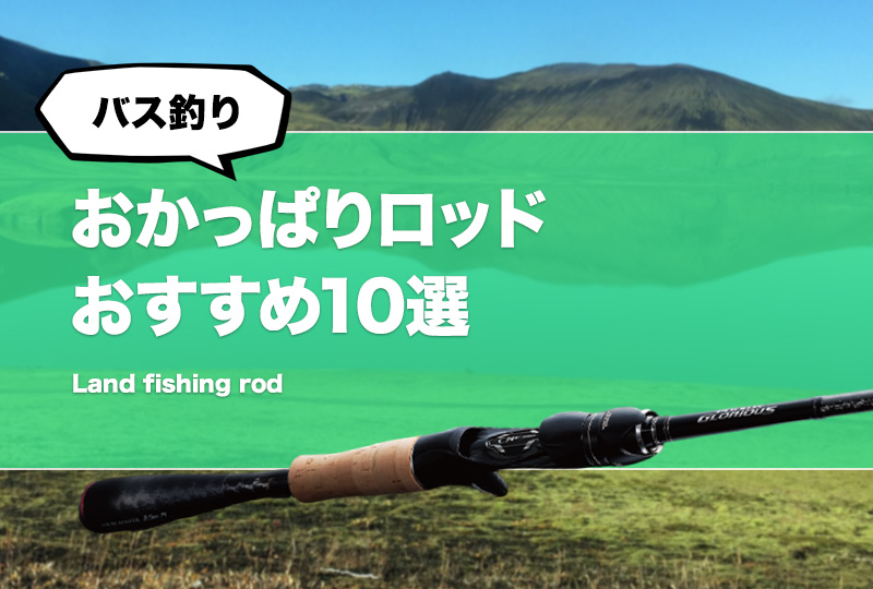 バス、シーバスワンピースロッド