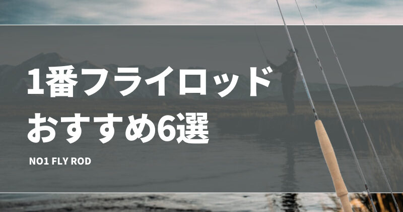 レビュー Flex Control 9ft1in. #5.フライロッド