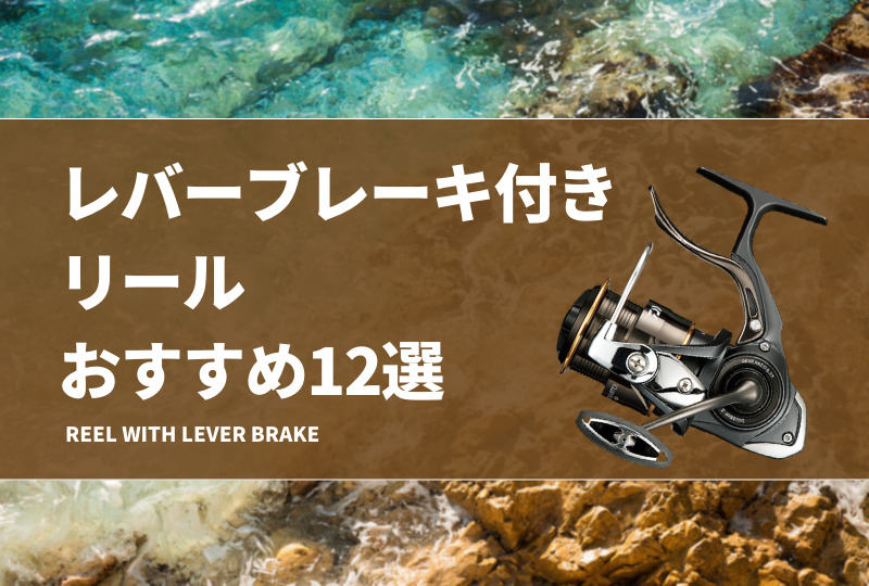 口太グレ　レバーブレーキ ライン　リールソフトケースセット ダイワ レバーブレーキリール 23シグナス 3000H-LBD: 釣具の