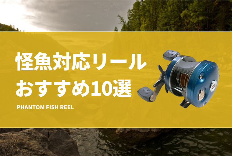 怪魚対応リールおすすめ10選！ベイトとスピニングリールを紹介
