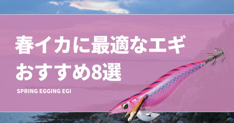 エギング 春イカ エギ48個セット 3.5号多数