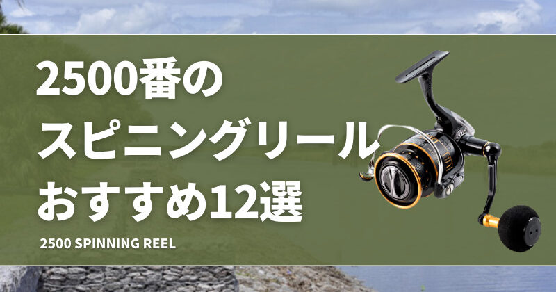新品ダイワ RS 2500海外モデル スピニングリール 編組釣り糸2点 新品ダイワ RS 2500海外モデル スピニングリール 編組釣り糸2点