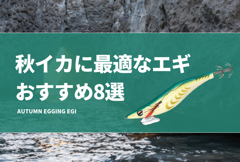 秋イカに最適なエギおすすめ8選！秋エギングで釣れるカラーや