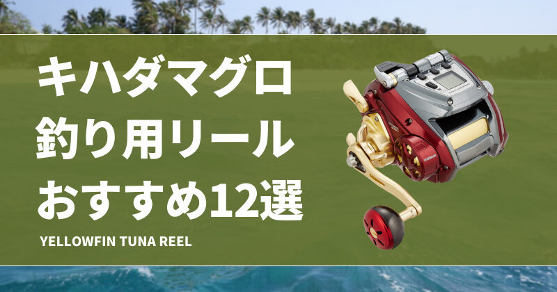 キハダマグロ、クエ専用竿リールは別 キハダマグロ、クエ専用竿リールは別 新品未使用キハダマグロ