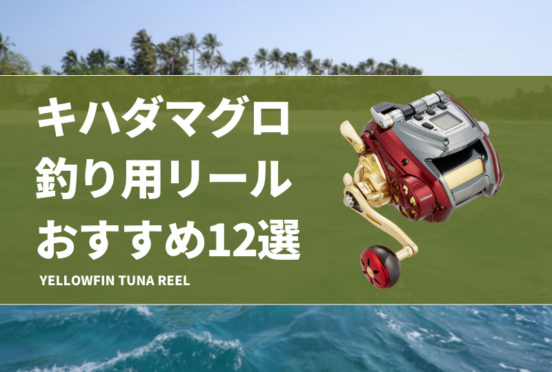キハダマグロ釣り用リールおすすめ12選！人気な電動と手巻きを