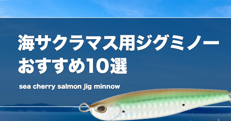 発掘 - 新登場ブランド 海サクラマス用ジグミノーおすすめ10選！色（カラー）や重さの ルアー・フライ