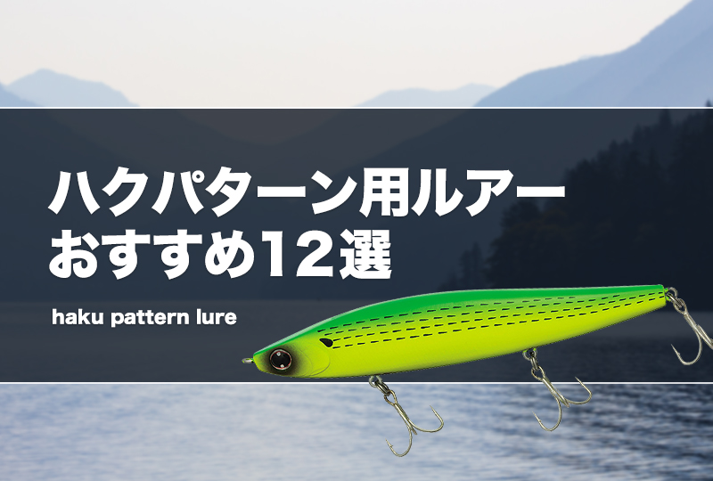 【大型ベイトパターンにオススメ】大型シーバスルアー11個セット ビッグベイトシーバスルアーおすすめ18選！