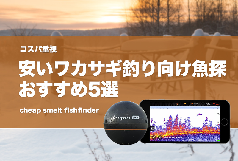 コスパ重視!安いワカサギ釣り向け魚探おすすめ5選!人気で コスパ重視!安いワカサギ釣り向け魚探おすすめ5選!人気で