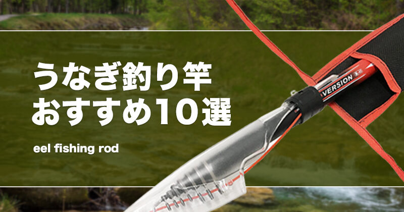 振出竿 磯竿 ぶっこみ ウナギ釣り 3メートル 穂先ソリッド 3本