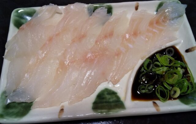 キジハタ(アコウ)の釣り方や仕掛けを徹底解説!時期やタックルも紹介! | タックルノート
