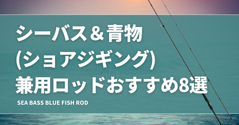 ショアジギング ジギング シーバス ロッド 2本まとめ売り ライトショアジギング入門に最適!! ロッド＆リール2点セット 96M