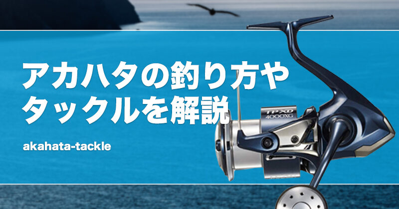 羽太 | 本漆や蒔絵等、日本芸術のルアー・ロッド製作 田村釣具