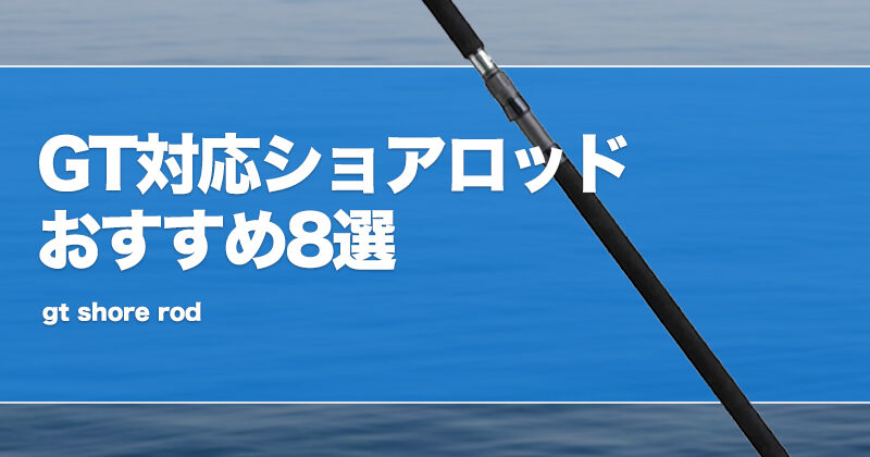 謎の紐 ショアGT ssアシスト