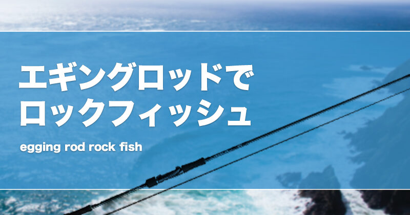 釣り引退 ショアジギ、エギング、ロックフィッシュ