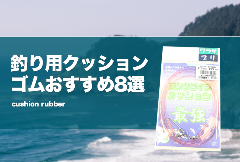 釣り用クッションゴムおすすめ8選！カゴ釣り等に！ | タックルノート