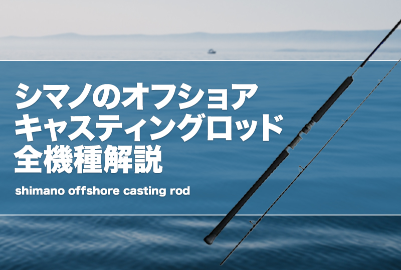 テイルウォーク(tailwalk) スプリントスティック SSD 80XXH