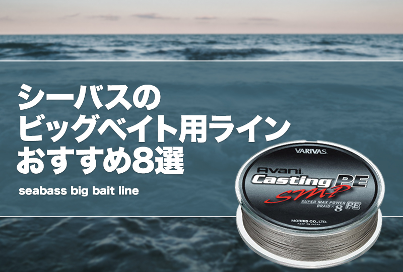 シーバスのビッグベイト用ラインおすすめ8選！ボートシーバスに