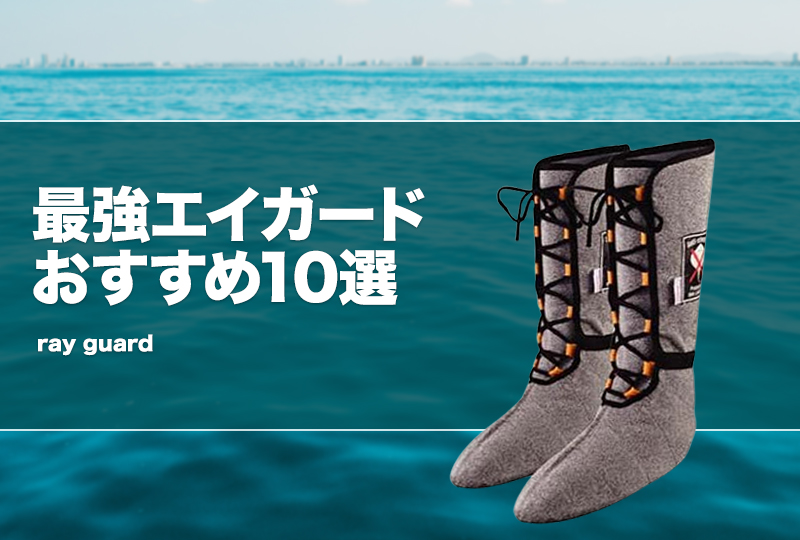 エクリプス　エイガード ライフスタイル誌「Safari」とのコラボモデルが登場！12 月25 日(月)に