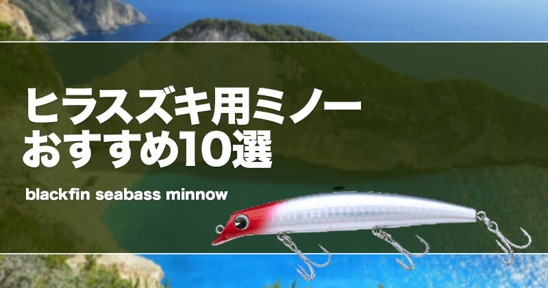 ヒラスズキ用ミノーおすすめ10選！シンキングとフローティングも